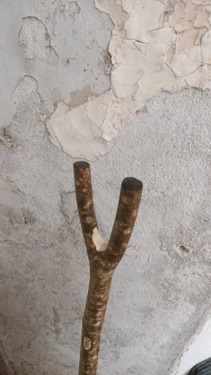 Thumb stick (walking stick) - Image 1