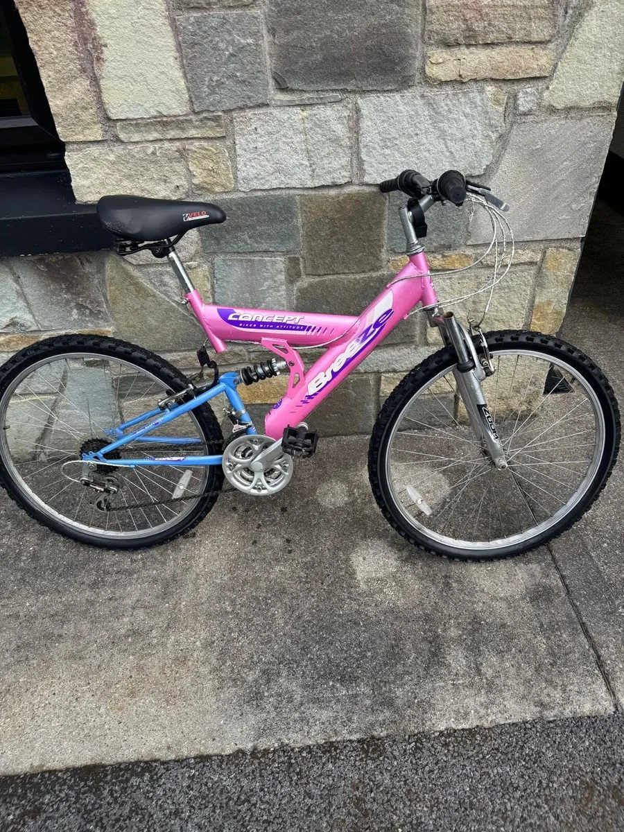 Bicycle - Image 2