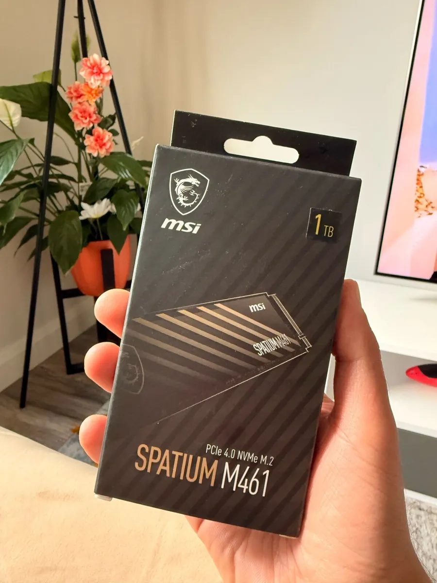 MSI Spatium M.2 NVMe 1TB SSD - Image 2