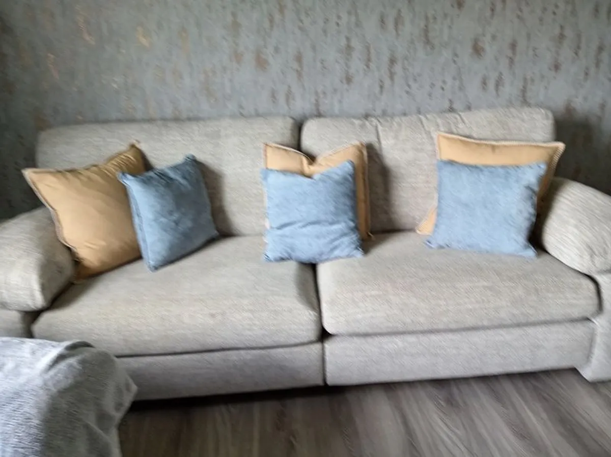 Large Sofa & Chair - Image 1