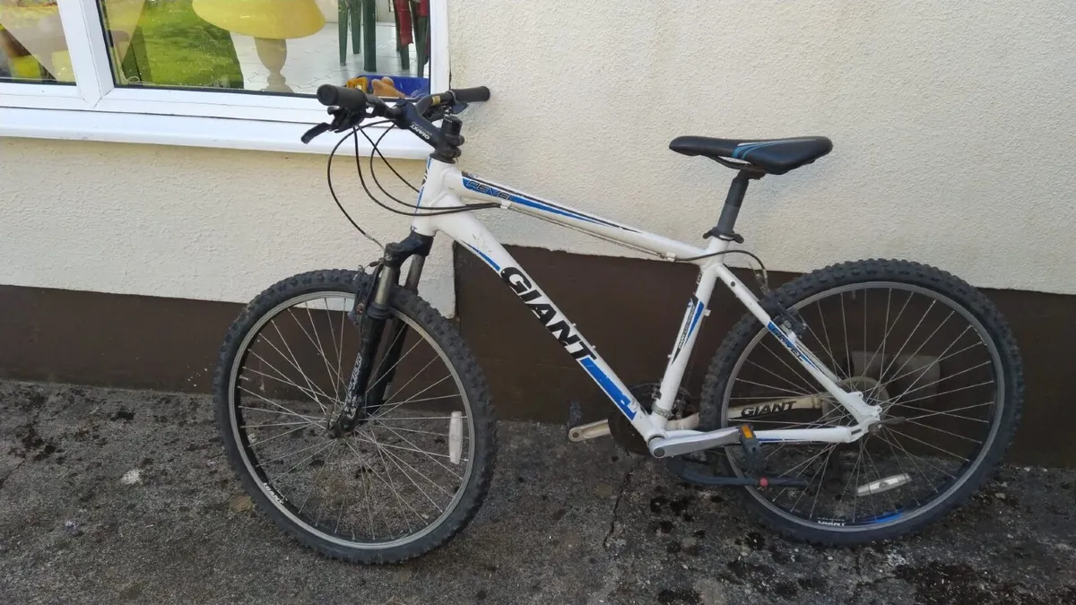 Bike - Image 2