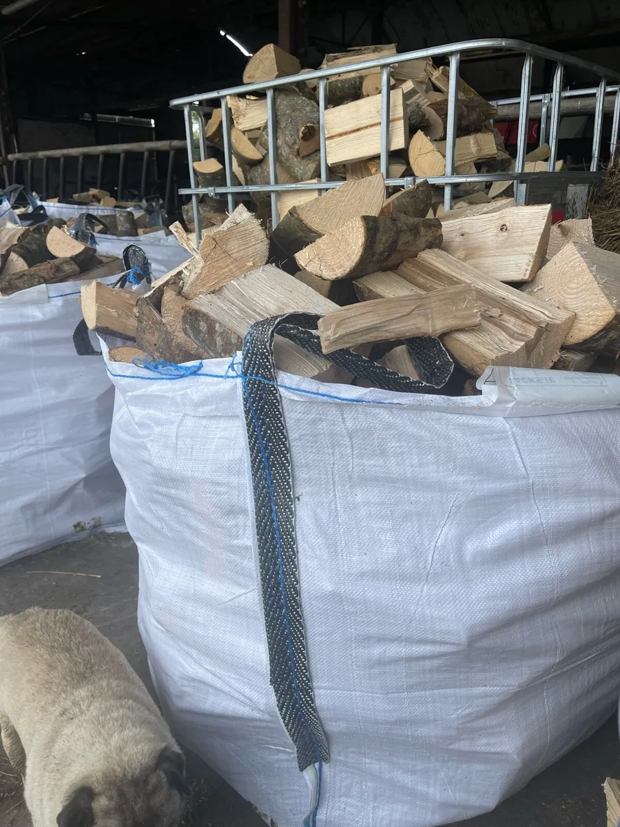FIREWOOD - Image 2