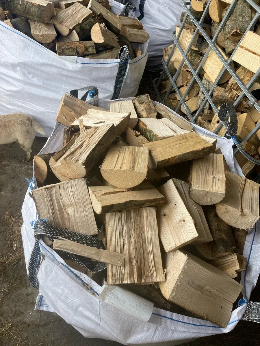 FIREWOOD - Image 3