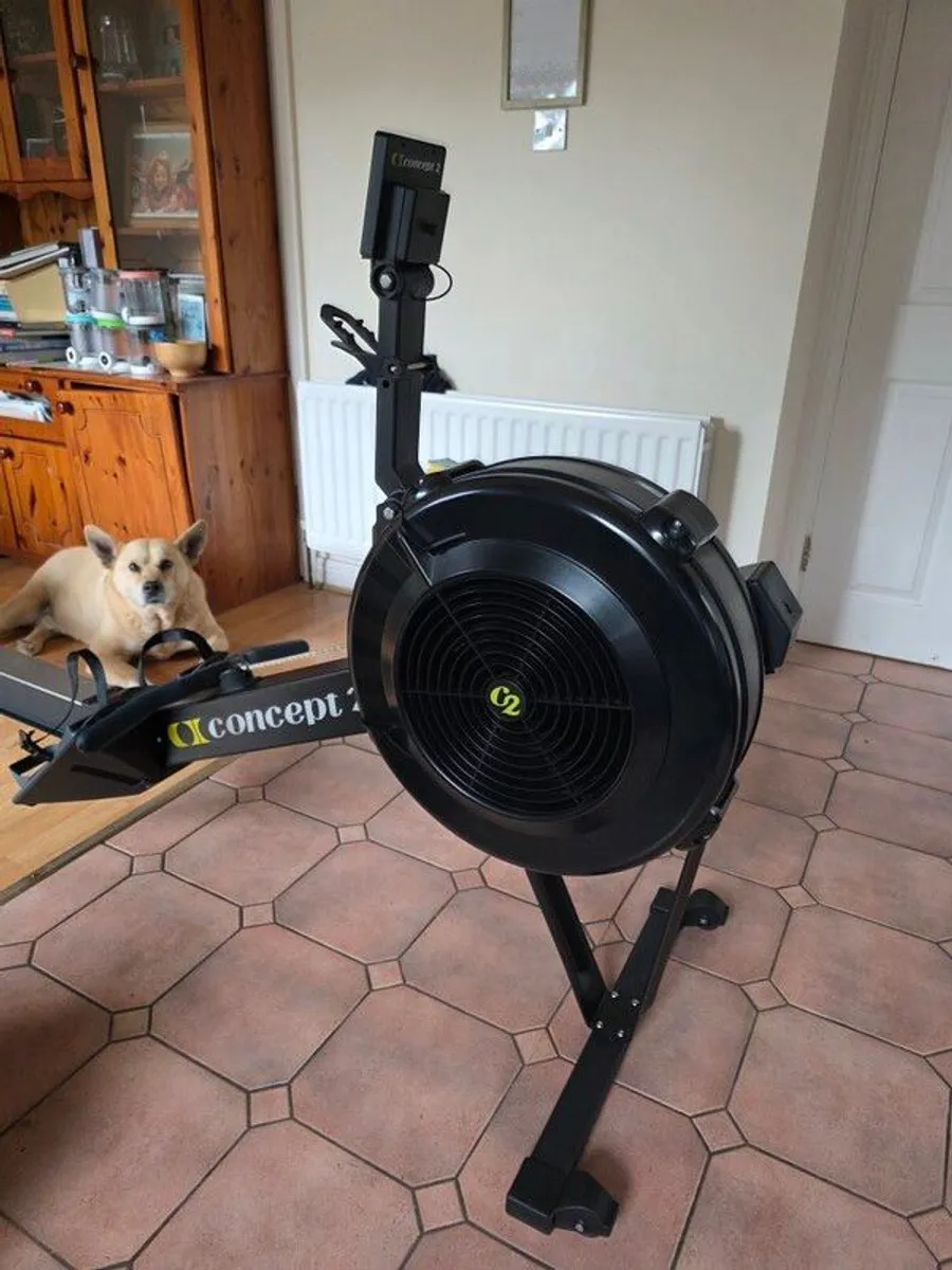 Concept2 RowErg  with PM5 - Image 3