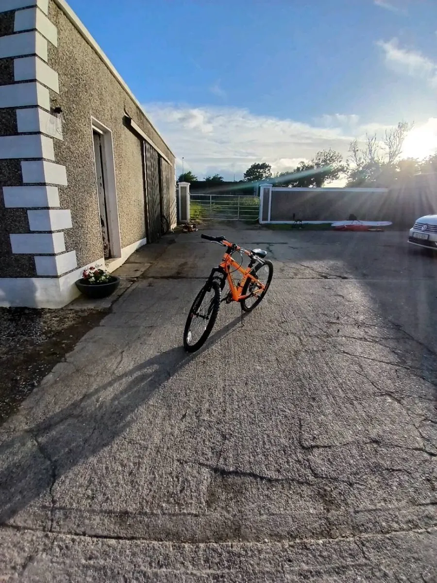 Bike - Image 1