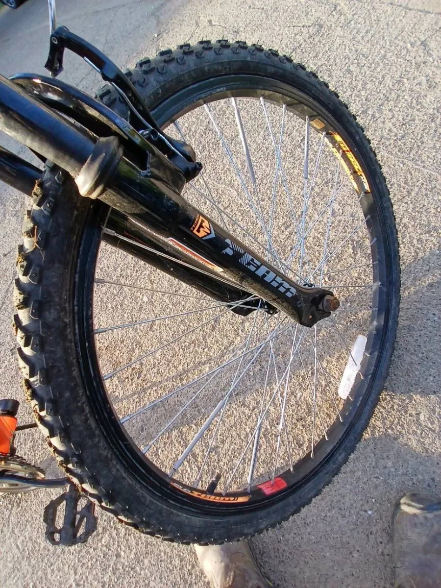Bike - Image 2