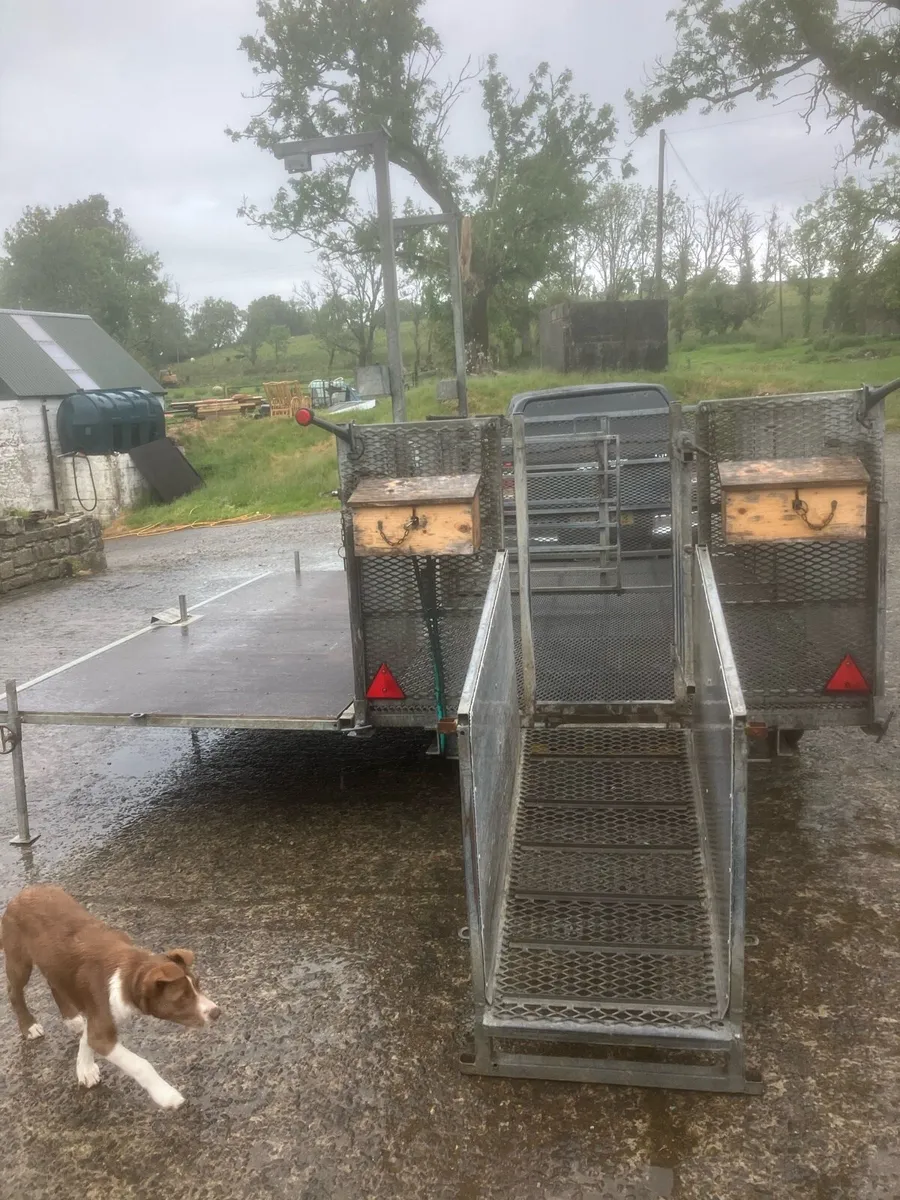Sheep shearing trailer - Image 3