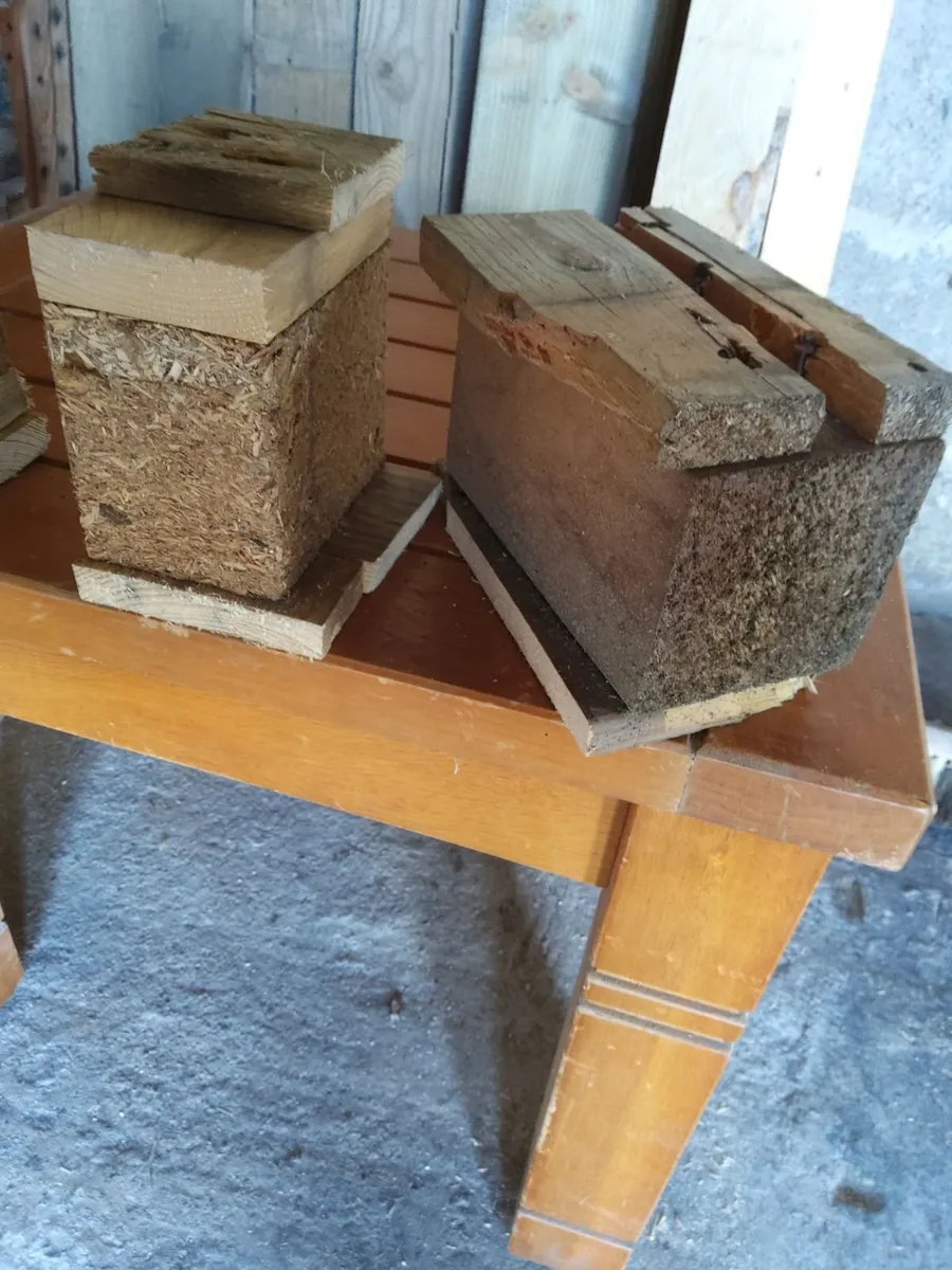 Firewood - Image 3