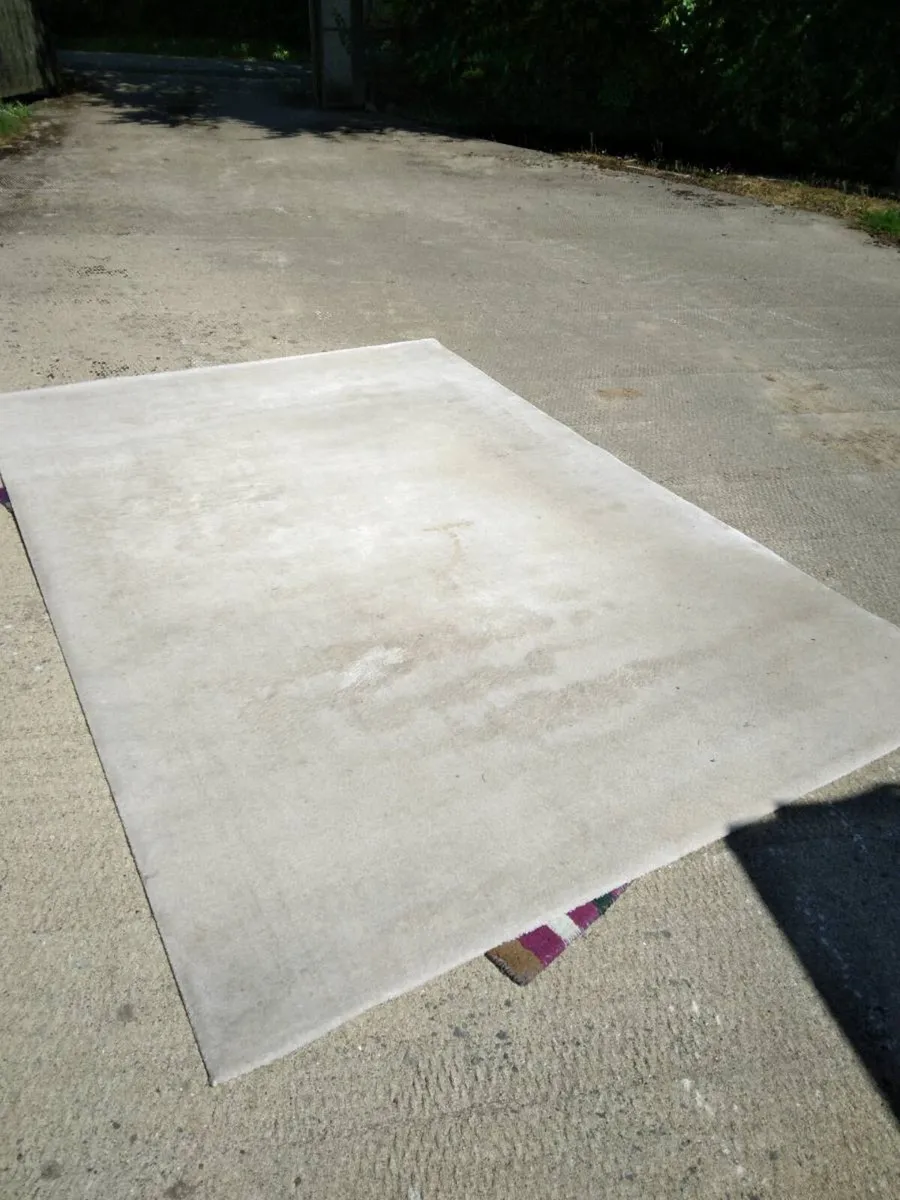 Carpet - Image 1