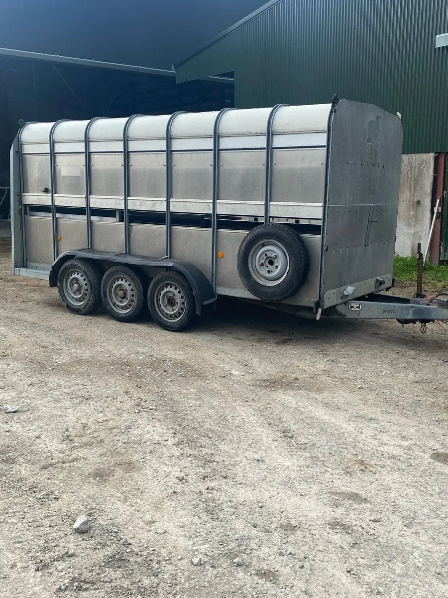 Ifor Williams cattle box - Image 1