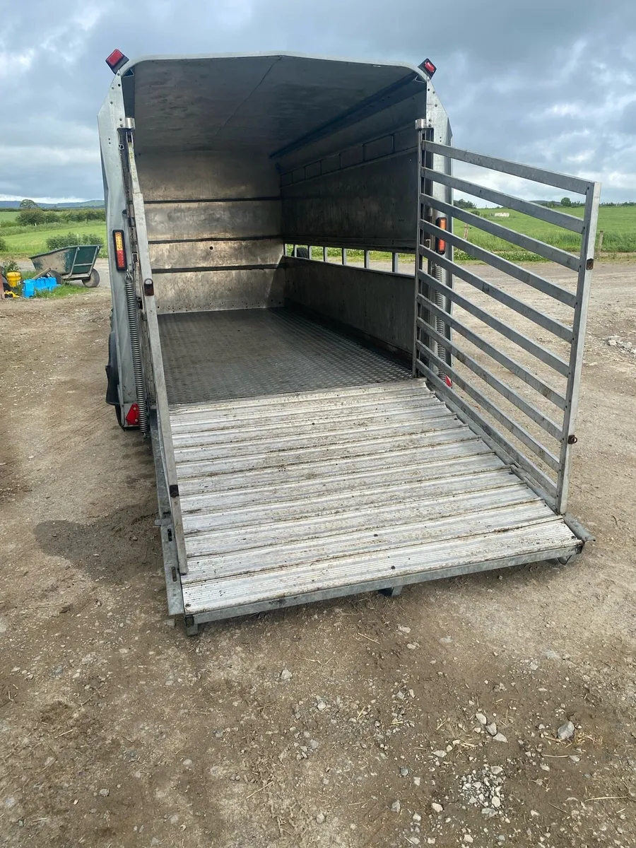 Ifor Williams cattle box - Image 4