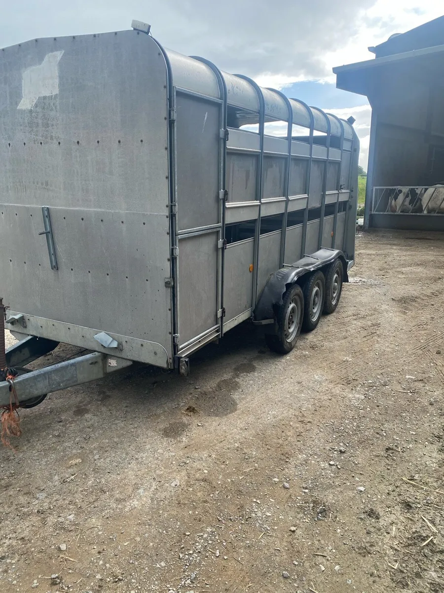 Ifor Williams cattle box - Image 2