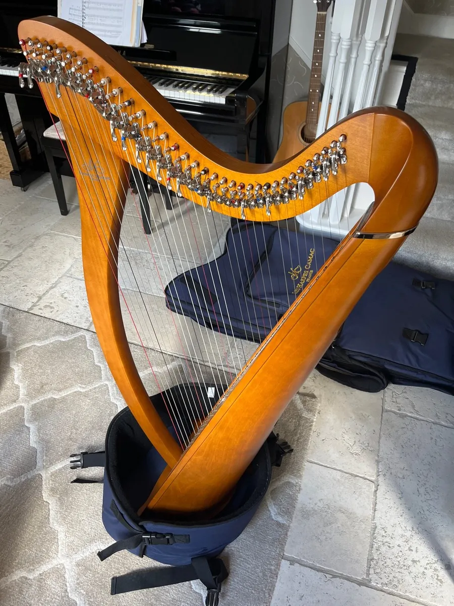Harp - Image 4