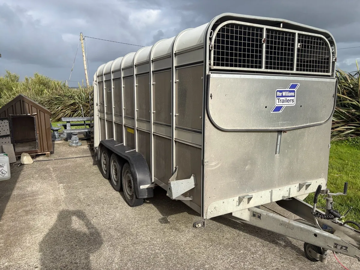 Cow box - Image 2