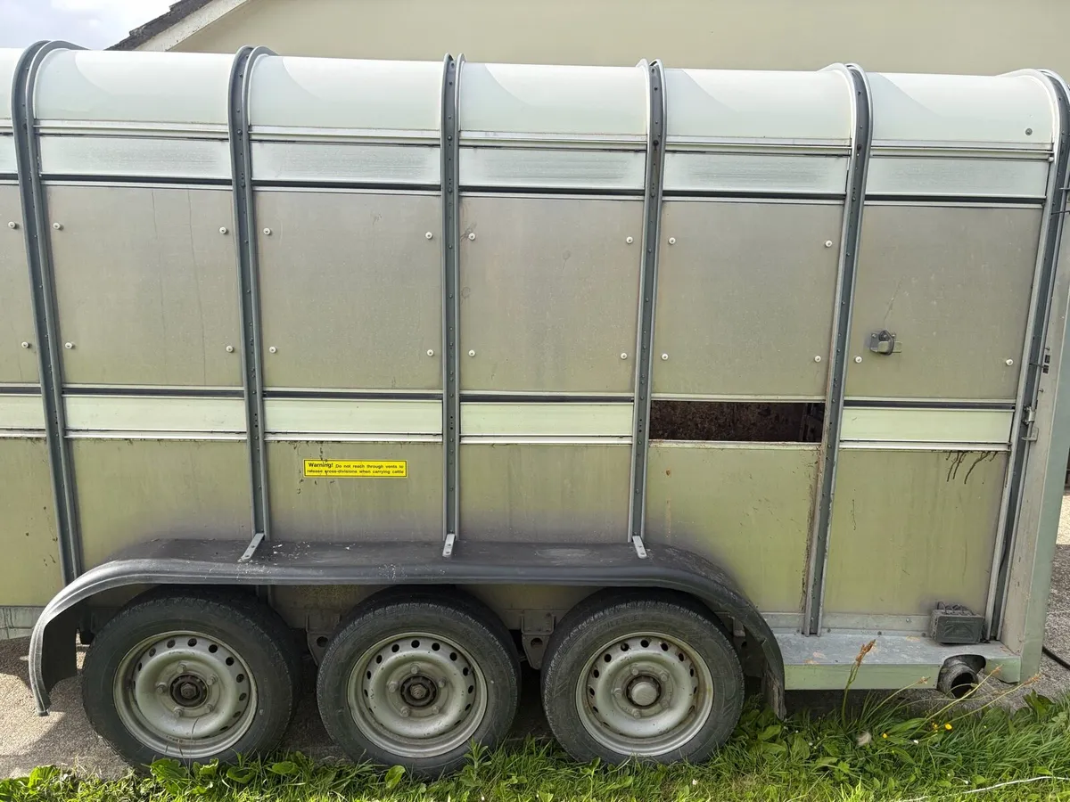 Cow box - Image 3