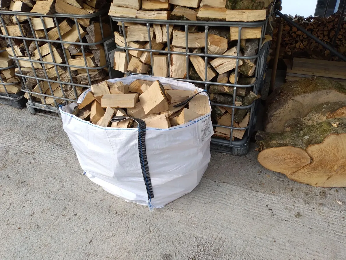 Ash firewood - Image 2