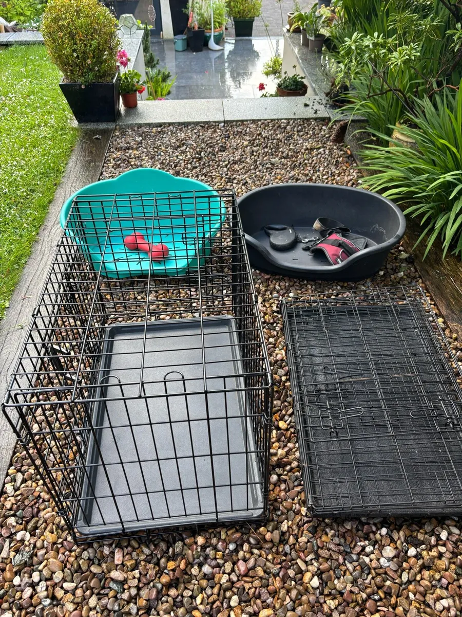 Dog crate - Image 1