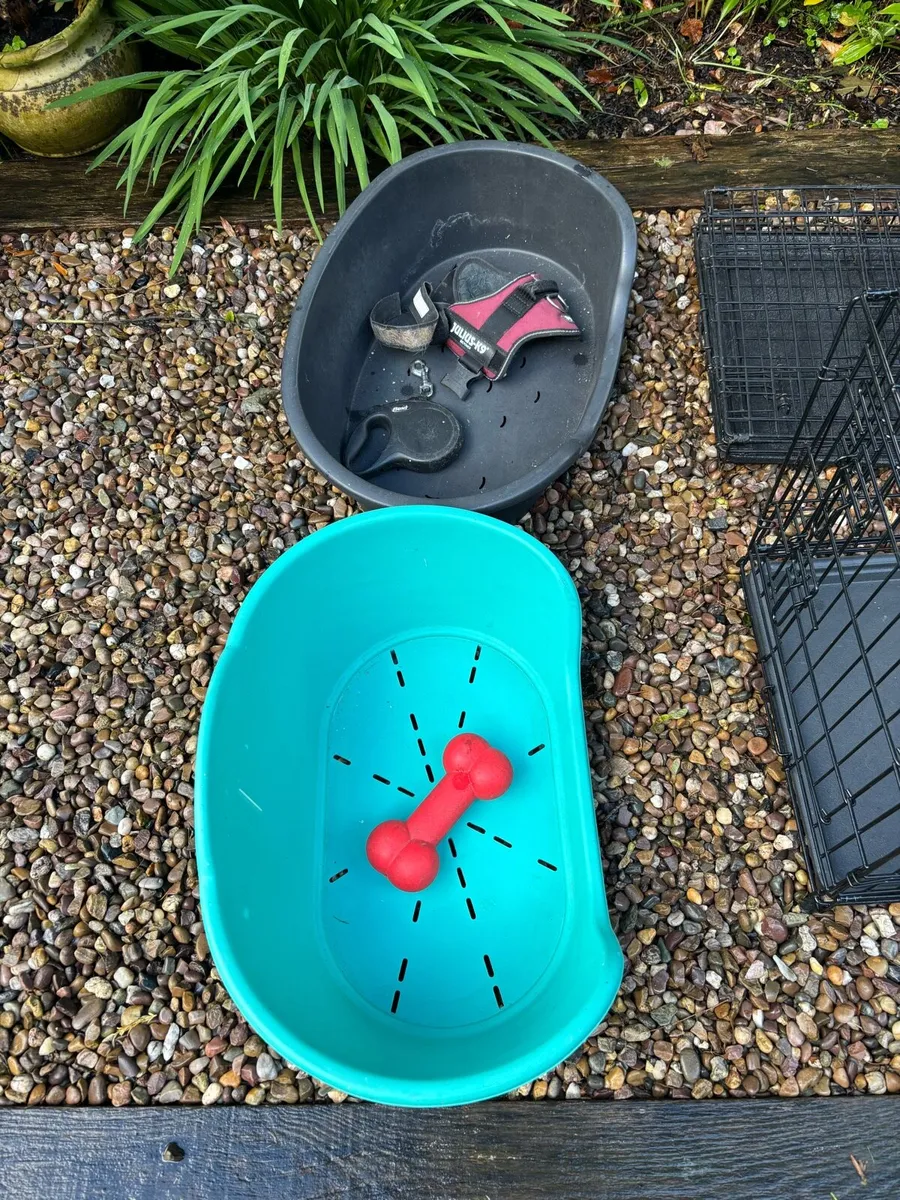 Dog crate - Image 2