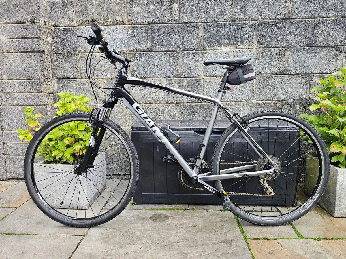 Adult Bike