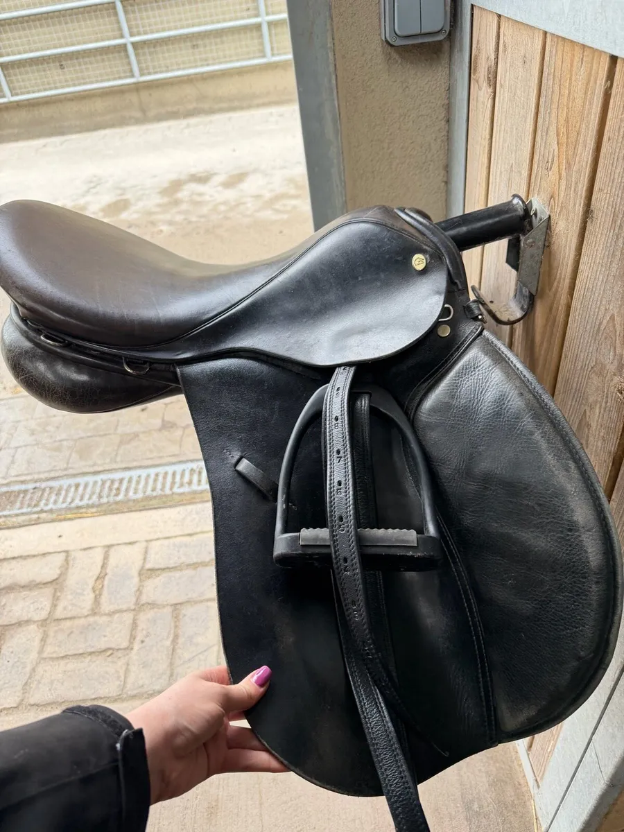 18” Saddle - Image 4