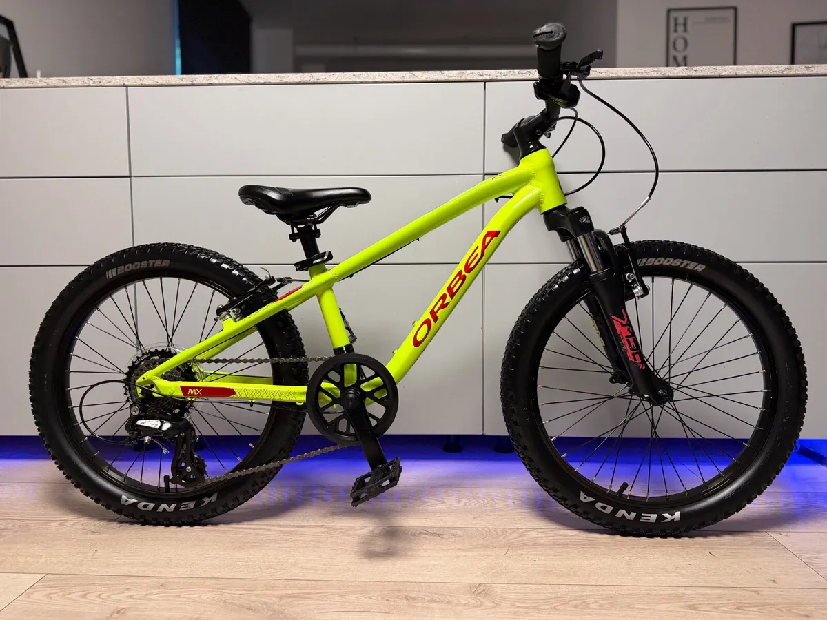 ORBEA MX Dirt Kids Bike 20 inch - Image 1