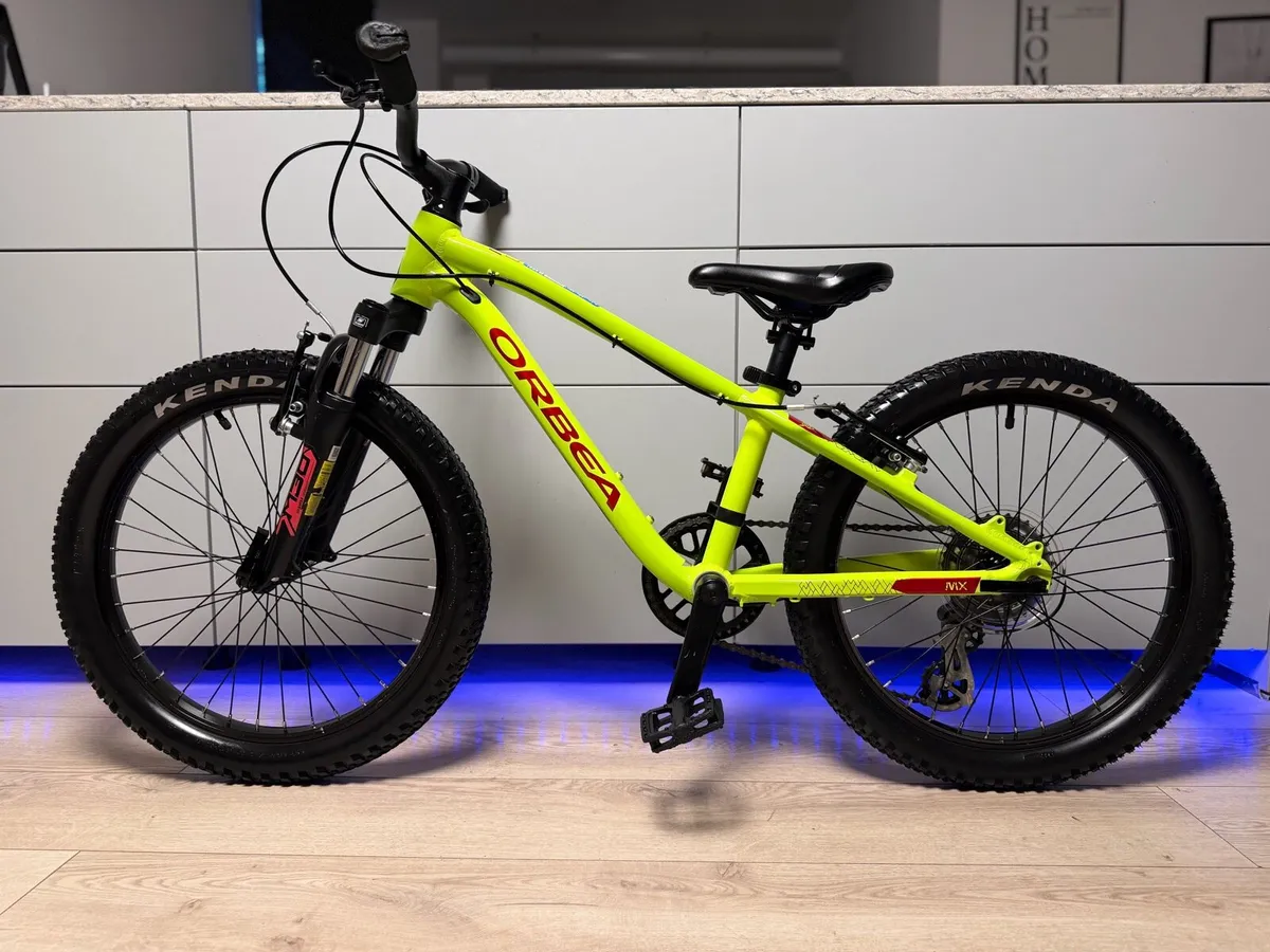 ORBEA MX Dirt Kids Bike 20 inch - Image 2