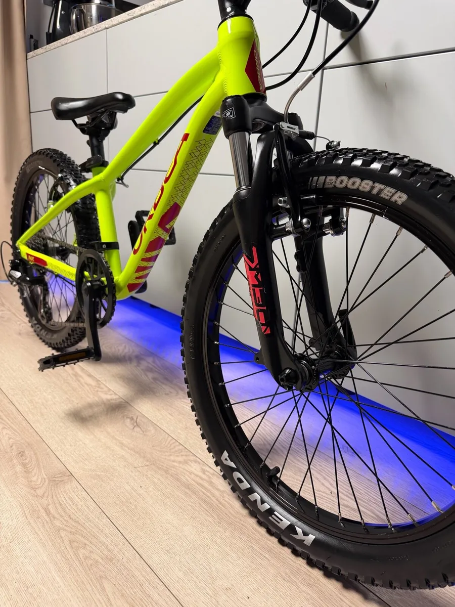 ORBEA MX Dirt Kids Bike 20 inch - Image 3