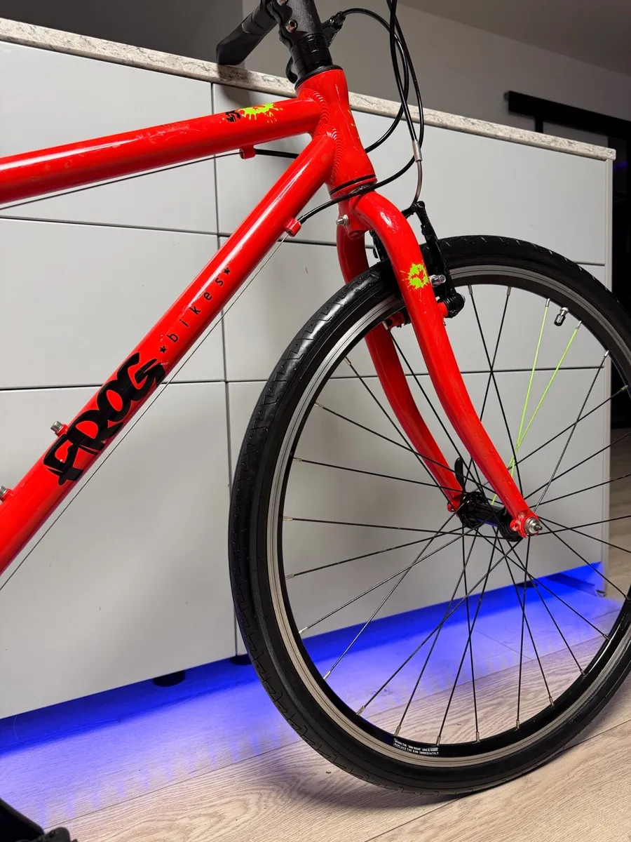 FROG 69 Junior Bike 26 inch - Image 3