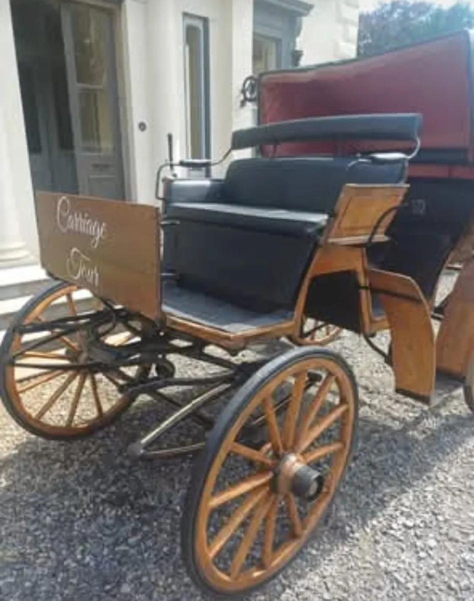 Horse drawn carriage - Image 2