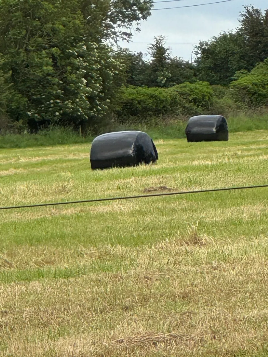 Haylage - Image 1