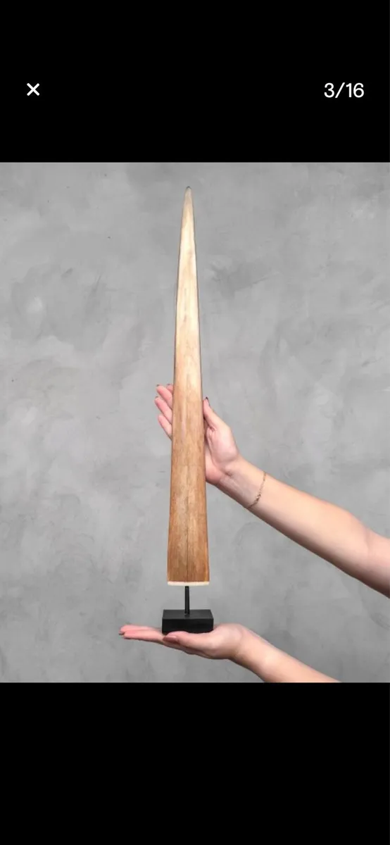 Swordfish tusk - Image 2