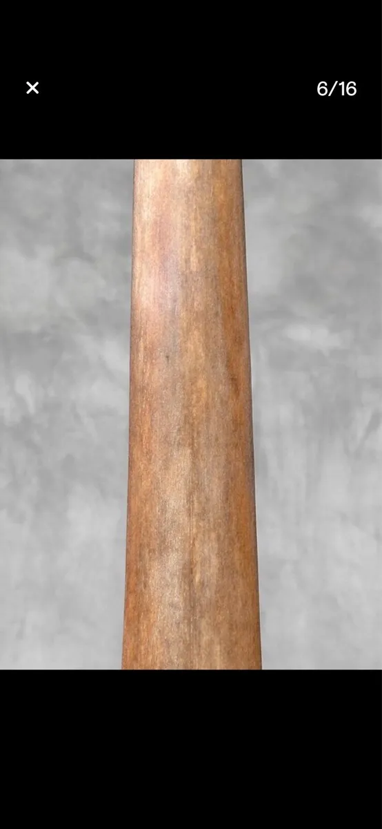 Swordfish tusk - Image 4