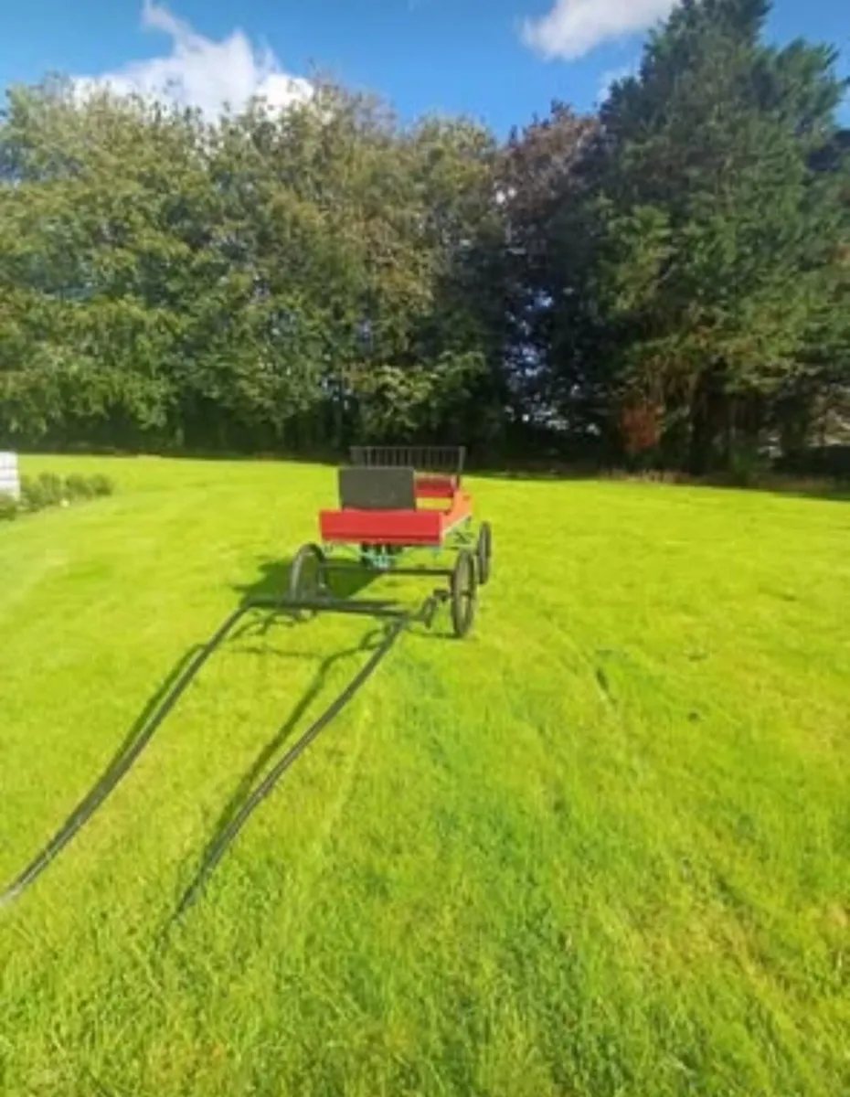 Horse trap - Image 3