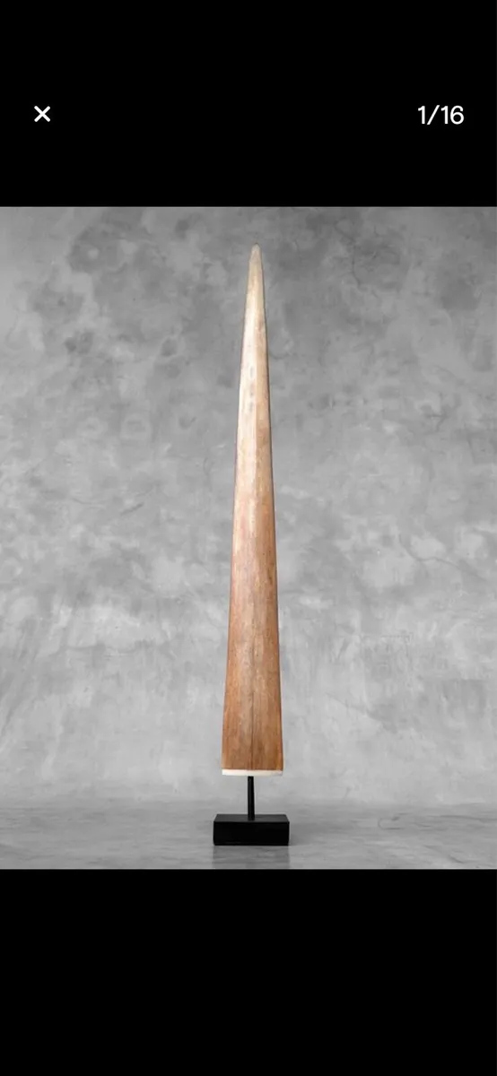 Swordfish tusk - Image 1