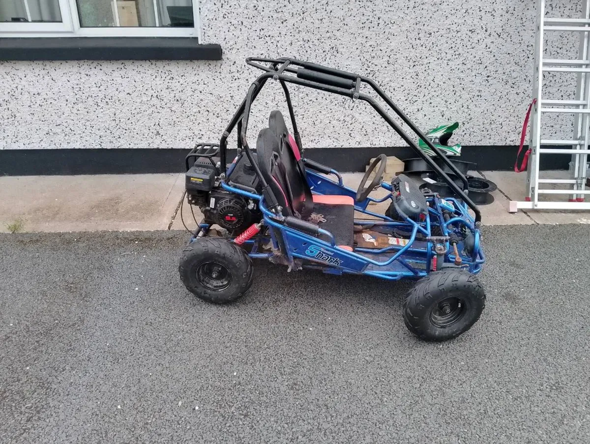 Petrol buggy - Image 2