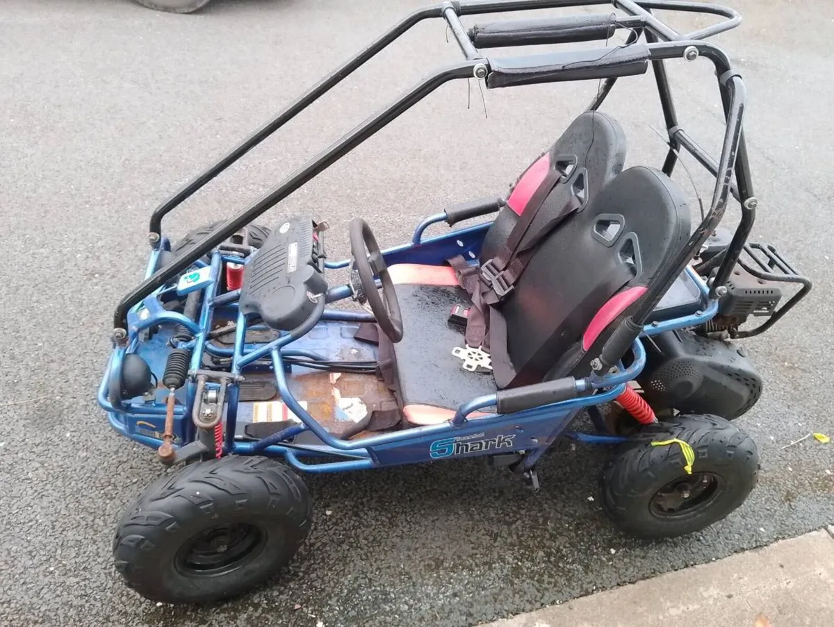 Petrol buggy - Image 4