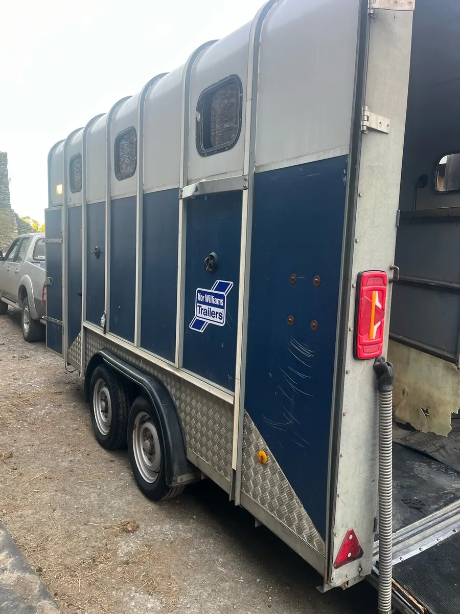 Horse box - Image 4