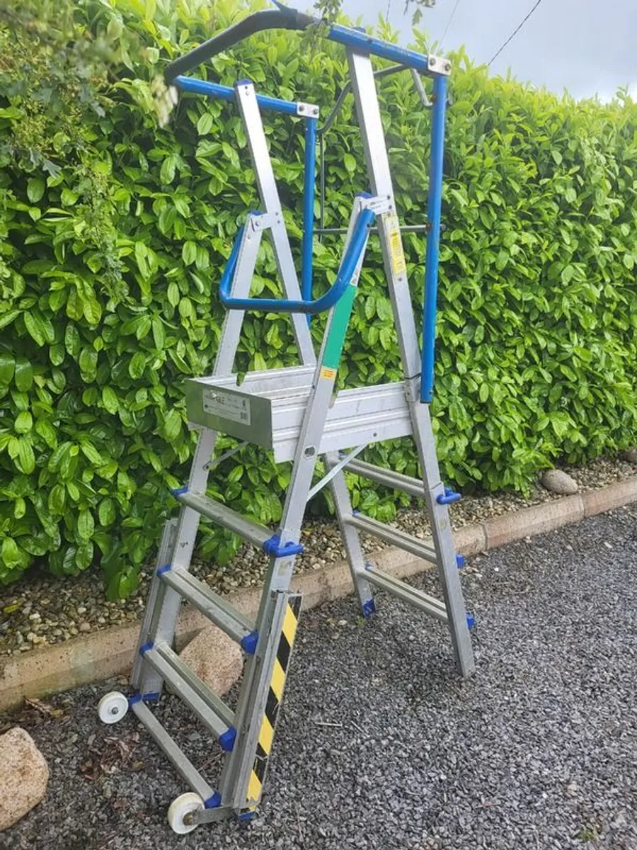 Platform Ladder - Image 2