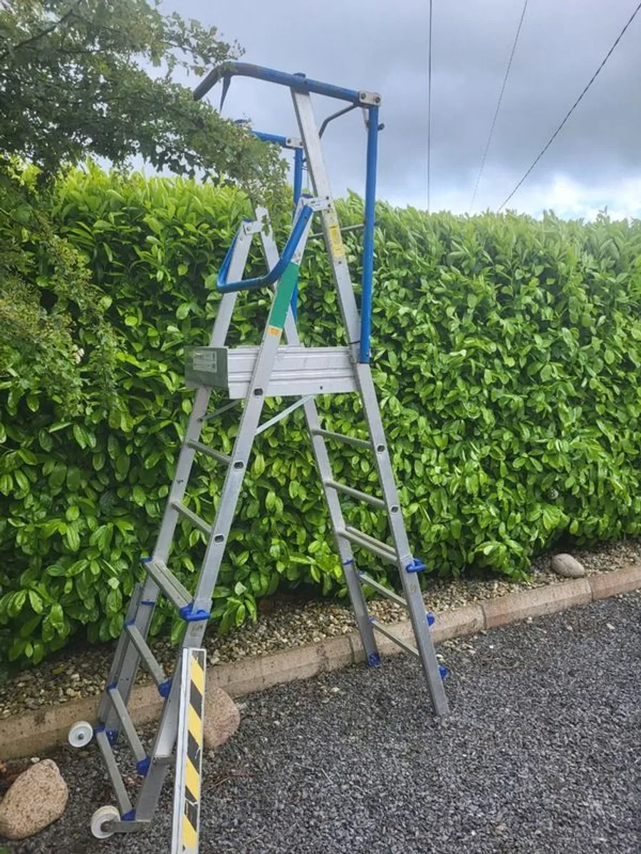 Platform Ladder - Image 1