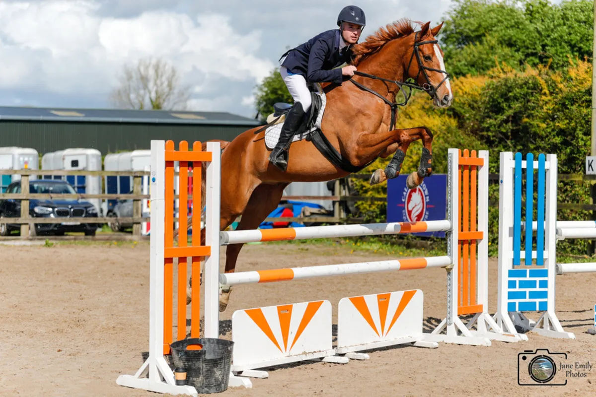 Showjumper/Eventer - Image 2