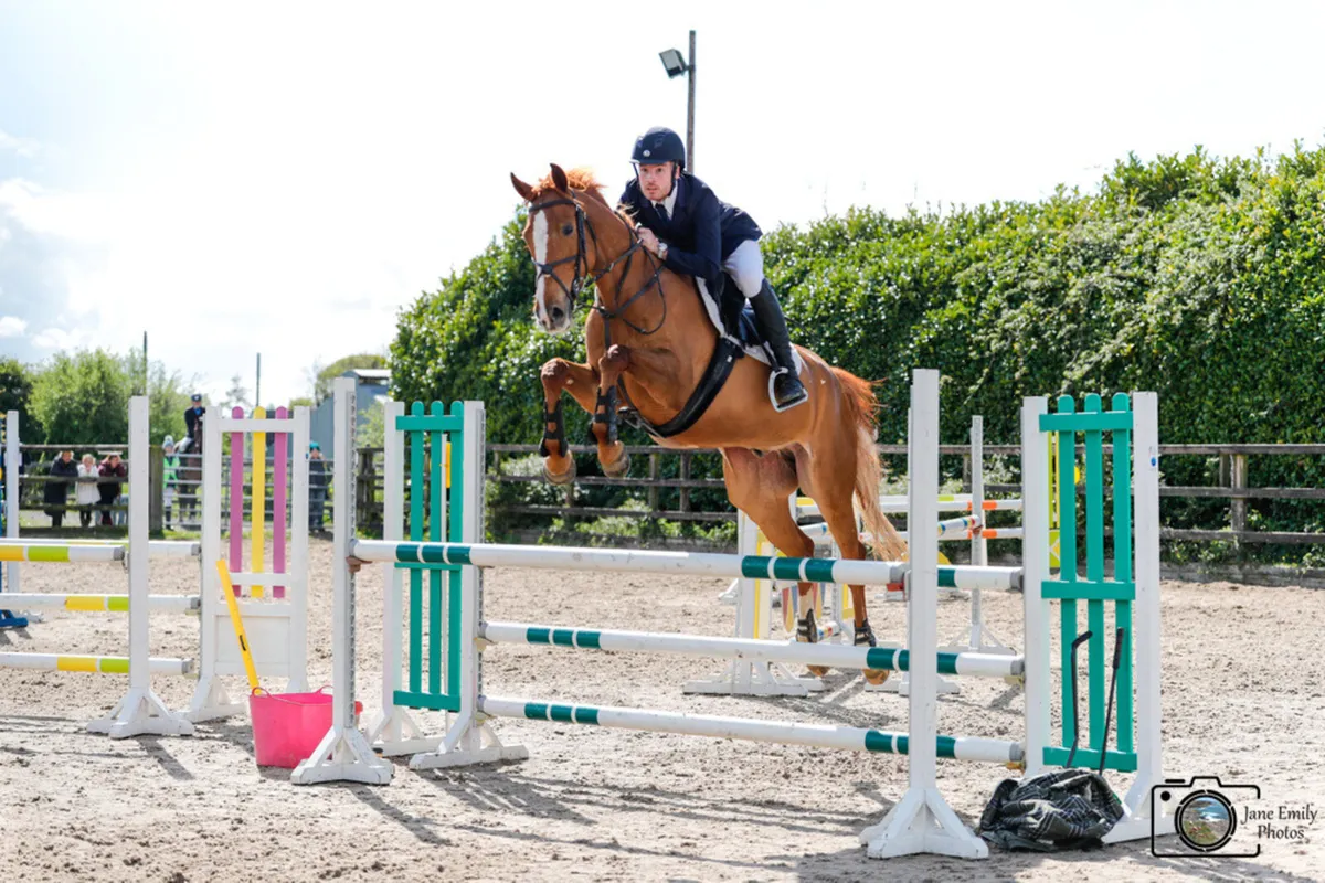 Showjumper/Eventer - Image 3