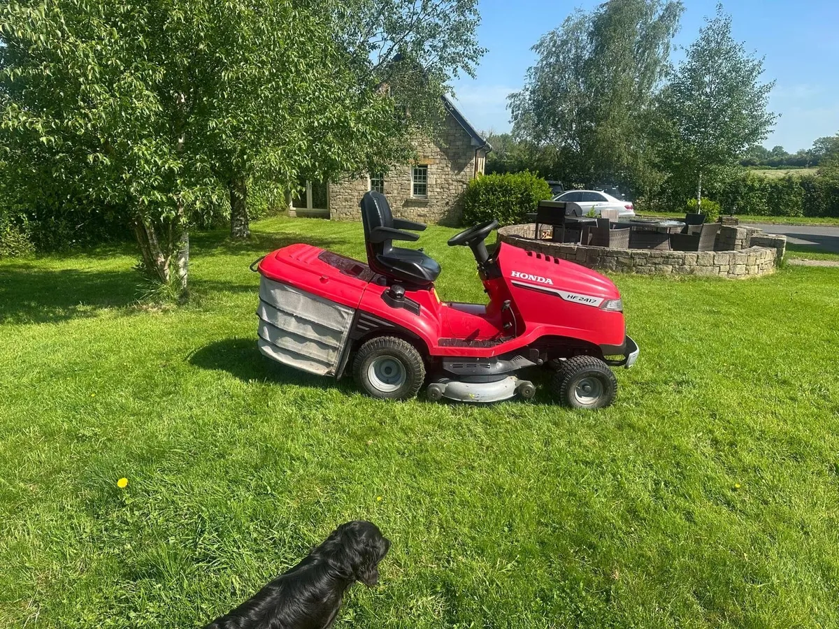 Honda HF2417 Electric Tip - Image 4