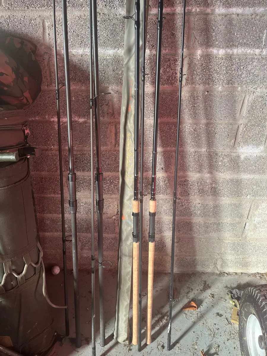 2 Daiwa Powermesh Carp Rods