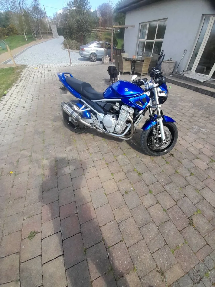 Bandit 650 - Image 1