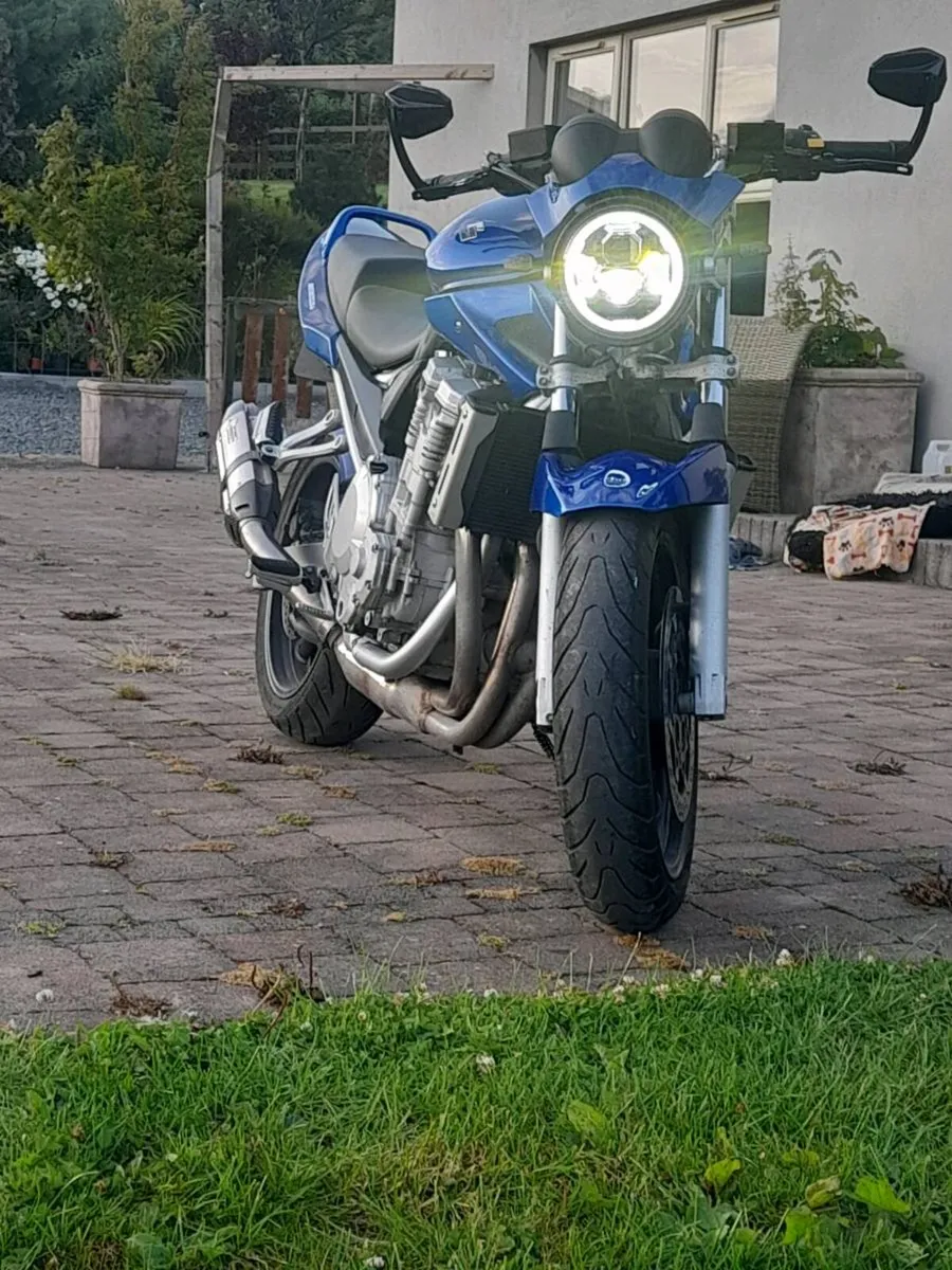 Bandit 650 - Image 2