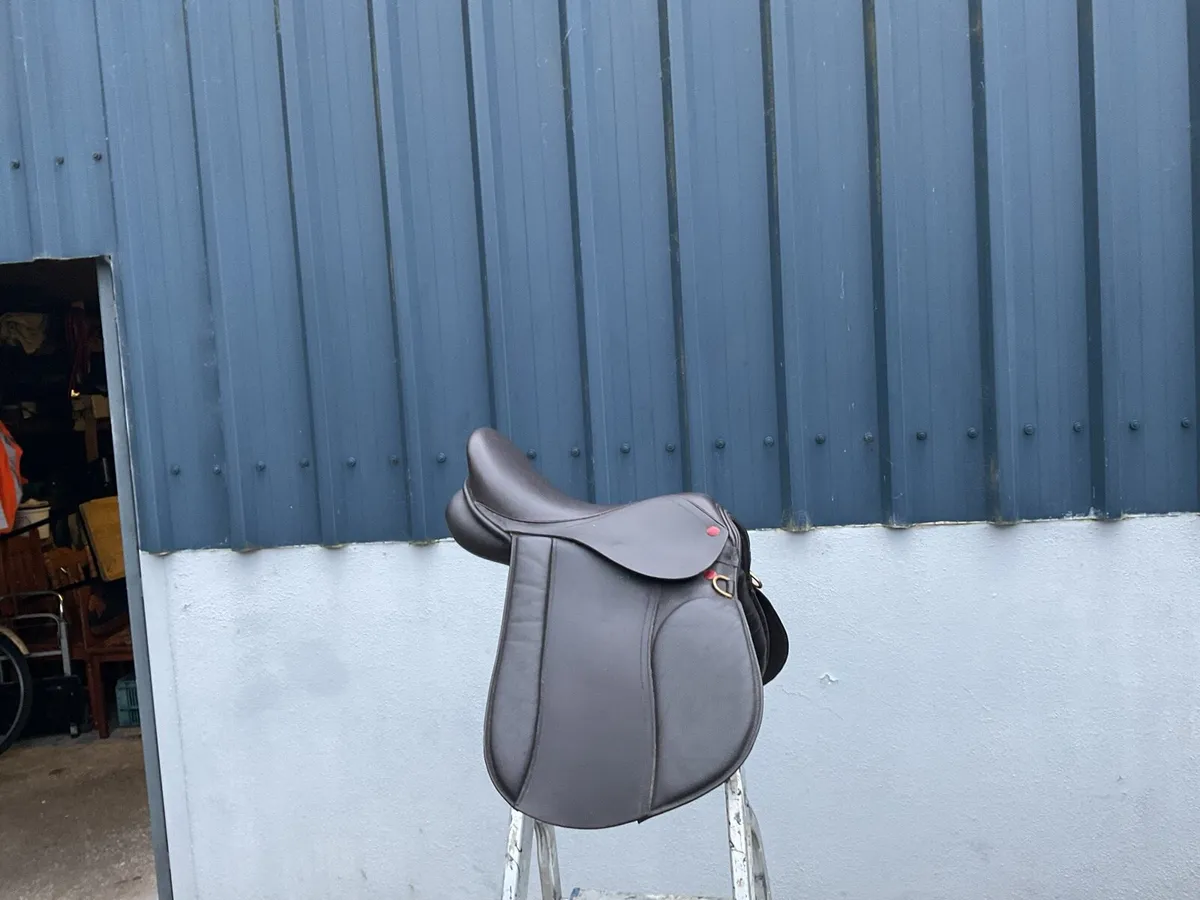 Equestrian Goods - Image 1