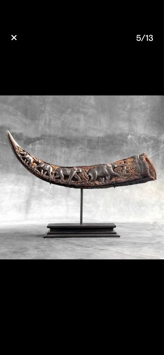 Water buffalo horn. - Image 1
