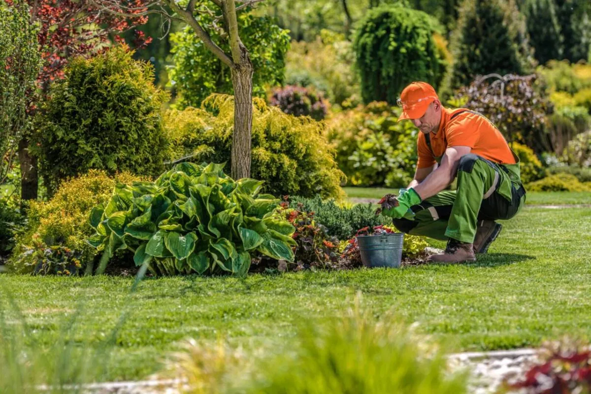 Gardener/Landscaper