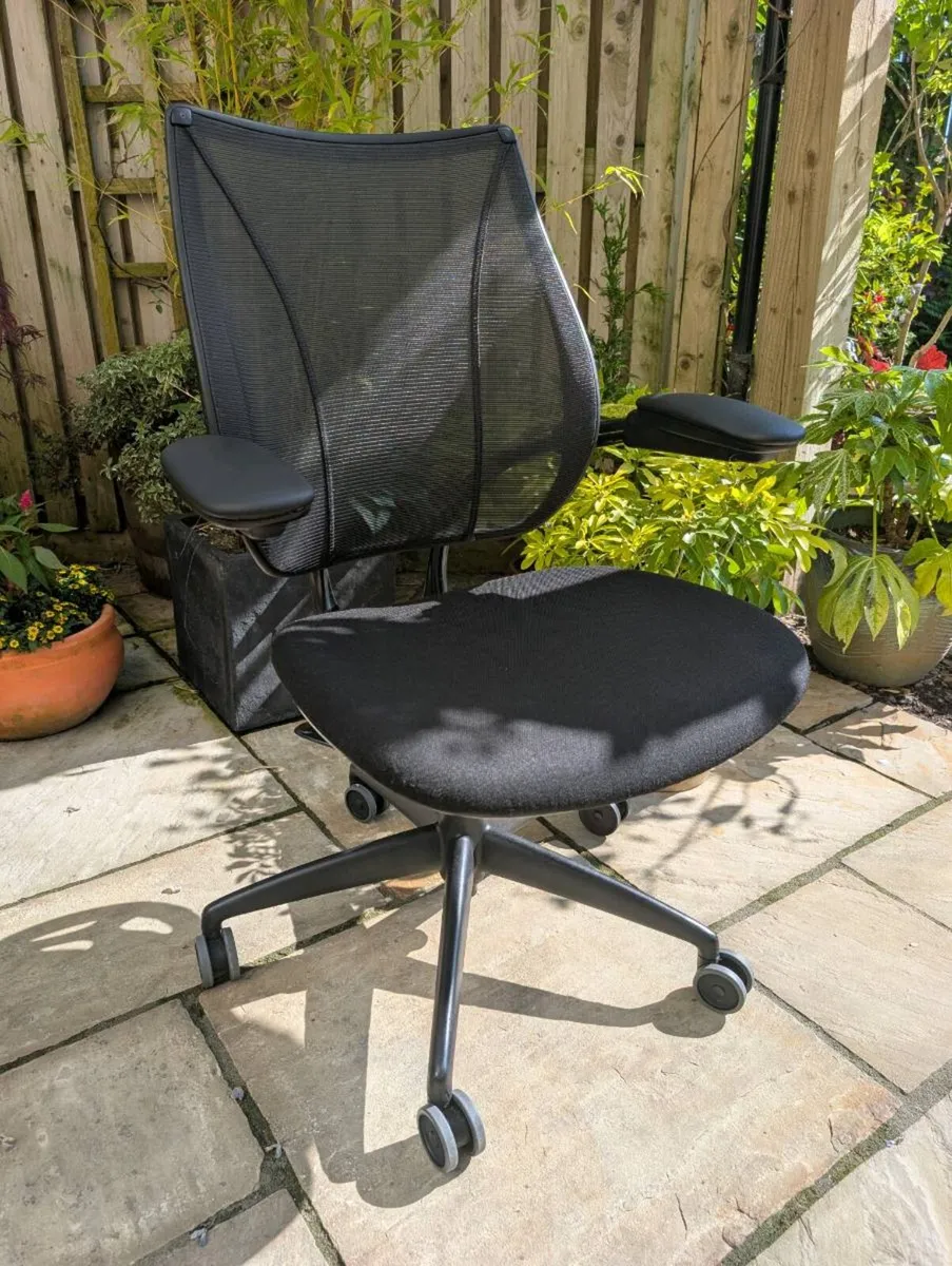 Ergonomic office chair - Image 1