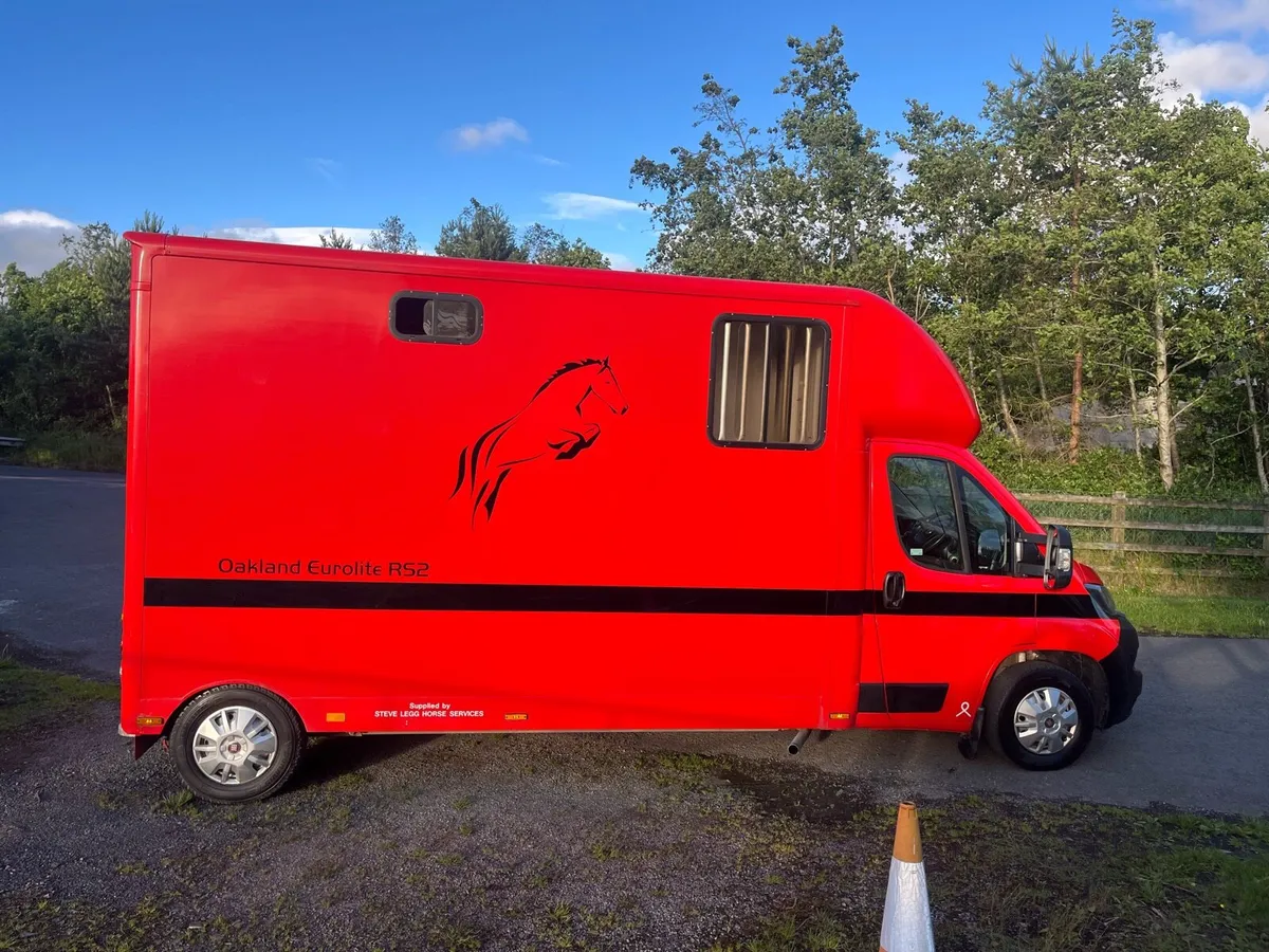 Horse transport lorry Oakland Eurolite🏇2021 - Image 3